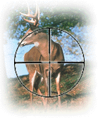 Deer, Elk, Caribou in Illuminator Reticle